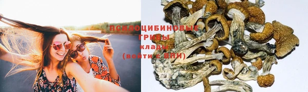 трава Алексеевка