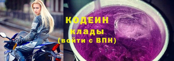 сатива Пересвет
