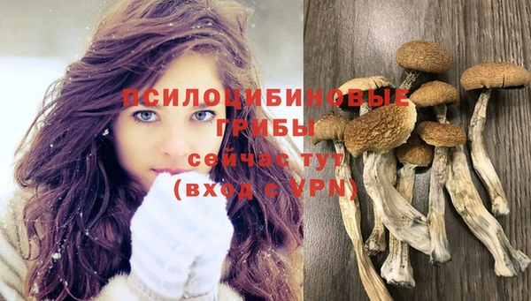 спиды Алексин