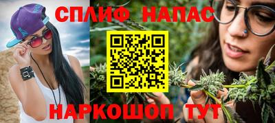 стафф Камышлов