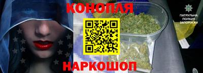 стафф Камышлов