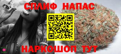 стафф Камышлов
